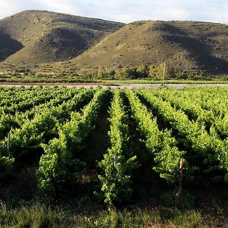 Tanagra Wine & Guestfarm Apartman McGregor Kültér fotó
