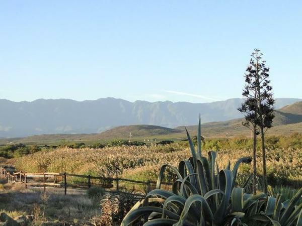 Tanagra Wine & Guestfarm Apartman McGregor Kültér fotó