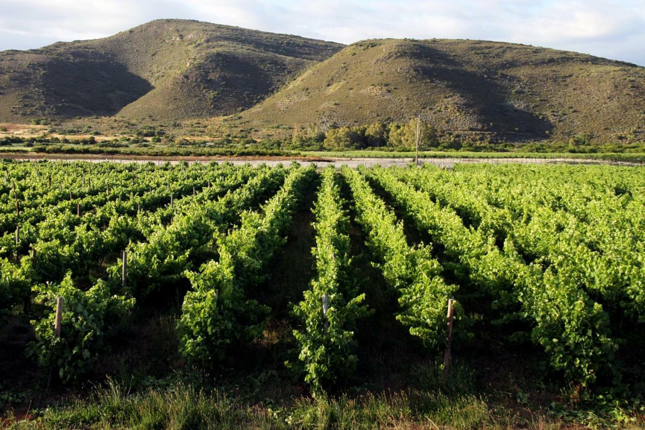 Tanagra Wine & Guestfarm Apartman McGregor Kültér fotó